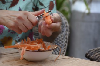 Fresh carrots are peeled, Bavaria, Germany