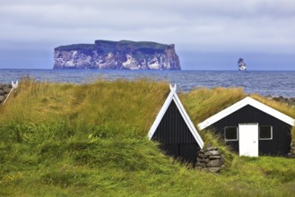 Traditional wooden huts with grass roofs in Reykjadiskur with the island of Drangey in