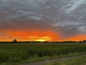 Sunset over the Vosges Mountains in Alsace, Freiburg Baden-Württemberg, Germany