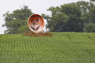 New Troy, Michigan - An old satellite dish converted to a grinning face on a farm in southwest