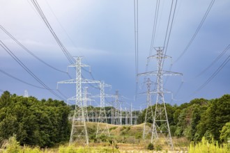 Bridgman, Michigan - High voltage power lines carry electricity from the Donald C. Cook Nuclear