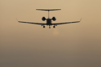 Executive business jet passenger aircraft landing at sunset, London Stansted airport, Essex,