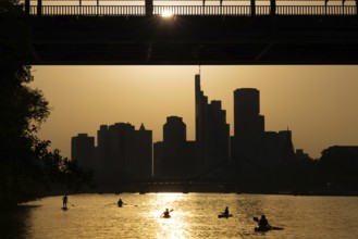 The evening sun stands over the Frankfurt banking skyline while paddlers and rowers navigate the