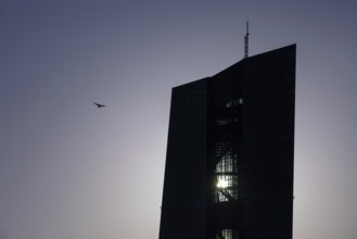 The sun passes behind the European Central Bank (ECB) in Frankfurt am Main, Frankfurt am Main,