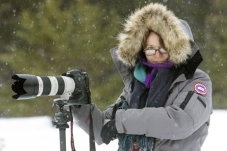 Photographer Veronique Amiard photographs the forest landscape in winter, light snowfall, Gaspesie