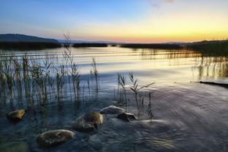 Gentle waves lapping reeds and stones on Lake Murten, atmospheric dawn, Canton of Fribourg,