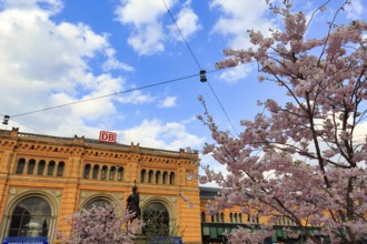 Hanover Central Station, Cherry Blossom, Cumulus, Hanover, Lower Saxony, Germany