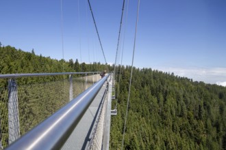 Wildline Bad Wildbad: The pedestrian suspension bridge is 380 metres long and 60 metres high. It