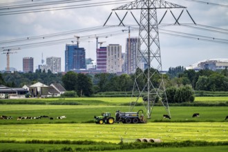 The skyline of the business district in the south-east of Amsterdam, office tower blocks, green