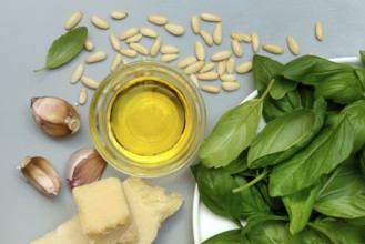 Ingredients for basil pesto, pesto alla genovese