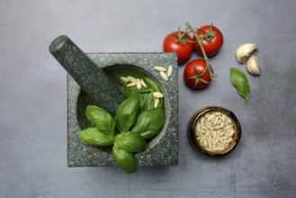 Ingredients for basil pesto, pesto alla genovese