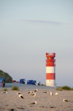 Red and white lighthouse on the beach surrounded by beach chairs, in the foreground a flock of