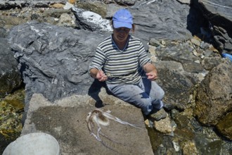 Man in work clothes picking up an octopus on rocky ground, Analipsi, Maltezana, Astypalea,