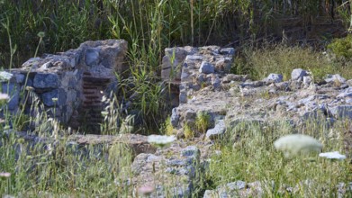 Remains of an ancient wall surrounded by plants in a historical site, ancient Roman bath, Tallaras,