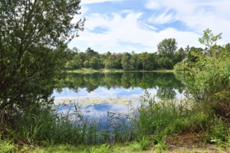 Scenic view of Waldsee forest lake in Viernheim, Germany on a sunny day surrounded by nature