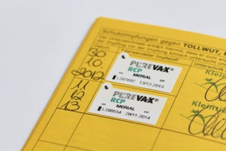 Germany - August 2nd 2025: Close up of PureVay RCP Merial vaccine sticker in cat passport.