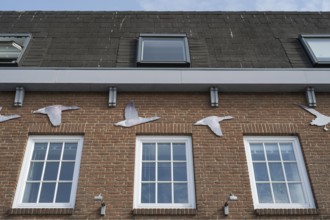 National Park House, harbour, Husum, North Frisia, North Sea, Schleswig-Holstein, Germany