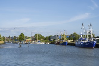 Fishing boats in the cutter harbour, outer harbour, Husum, North Frisia, North Sea,
