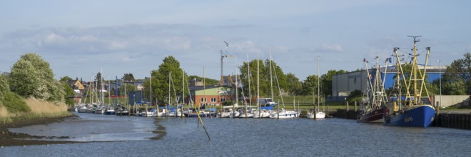 Fishing boats in the cutter harbour, outer harbour, panorama format, Husum, North Frisia, North