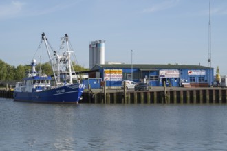 Fishing boats in the cutter harbour, fish market, outer harbour, Husum, North Frisia, North Sea,