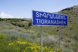 Road sign of Tigranashen in front of a hilly landscape with wild flowers, K?rk, Karki or