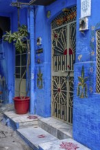 Entrance of a blue house, Blue City, Gulab Sagar, Jodhpur, Rajasthan, India