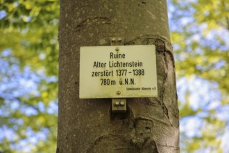 Sign, information board, Alter Lichtenstein ruins near Lichtenstein Castle, eaves of the Swabian