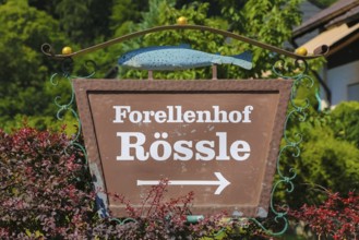 Sign Forellenhof Rössle, restaurant sign, signpost to restaurant, gastronomy, replica fish, trout,