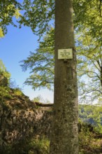 Sign, information board, Alter Lichtenstein ruins near Lichtenstein Castle, eaves of the Swabian
