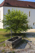 Fountain, stone basin with hand pump, water dispenser, behind the stud museum at the Lauterquelle,