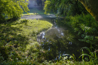 Lauter spring, Große Lauter, karst spring pot, water, park, idyll, meadow, lawn trees, backlight,