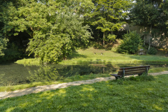 Lauter spring, Große Lauter, karst spring pot, park, idyll, meadow, lawn, trees, wooden bench,