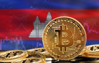 Investors in cryptocurrency and Blockchain Technology in Cambodia, Concept. Bitcoin with Cambodia