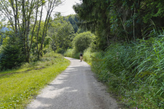 Hiking, man with rucksack, field path from Junginger Gieß, gravel path, trees, reeds, nature,
