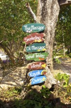 Tree-mounted information for tourists Holidaymakers on colourful signposts Wooden signs for offers