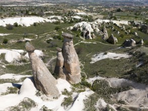 High rock formations in hilly landscape with green areas, aerial view, fairy chimneys near Ürgüp,