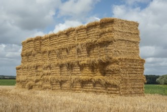 Pile of rectangular straw bales at Ystad, Skåne county, Sweden, Scandinavia