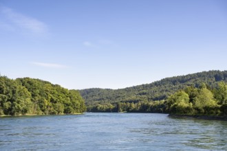 View over the Rhine, High Rhine surrounded by forests, Canton Thurgau, Switzerland