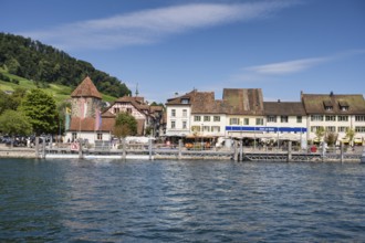 View across the Rhine to the old town of Stein am Rhein with the jetty, Canton Schaffhausen,