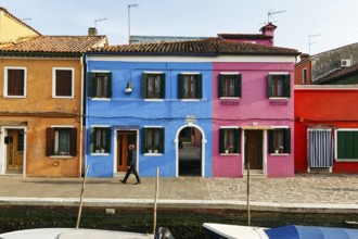 Lone walker on the canal, typical street scene in winter, colourful facades in Burano, island in