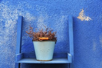 Typical blue façade detail, flower pot, bucket on wooden shelf, peeling paint, Burano, Italy