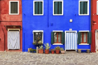 Façade detail, red and blue, various flower pots, Burano, island in the lagoon of Venice, Italy