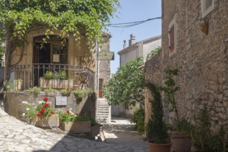 Mountain village Simiane la Rotonde, Département Alpes-de-Haute-Provence, Region