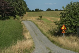 Curvy small gravel road with road sign in Ystad municipality, Skåne county, Sweden, Scandinavia