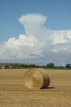 Round straw bale in a field and under summer clouds in Hammar, Ystad municipality, Skåne county,