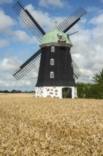 Windmill type Dutchman that was in use 1825, 1958, surrounded by wheat fields and against blue sky