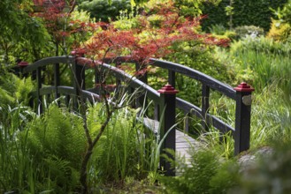 Black wooden bridge in Japanese style, Tambours Have or Tambours Garden, near Varde, Denmark