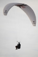 Paraglider or paraglider, Silhouette, near Hvide Sande, North Sea, Denmark