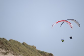 Two paragliders or paragliders in front of a blue sky over a dune landscape, near Hvide Sande,