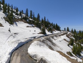 Snowy mountain road with serpentines and fir trees under a clear blue sky, aerial view, near